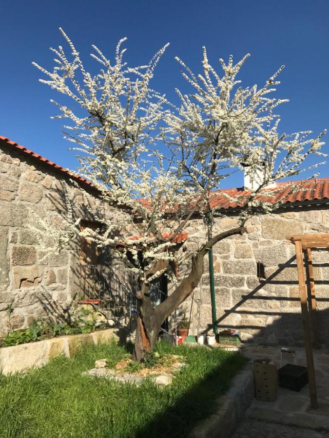 Quinta Do Pinheiro Farm stay Guimaraes