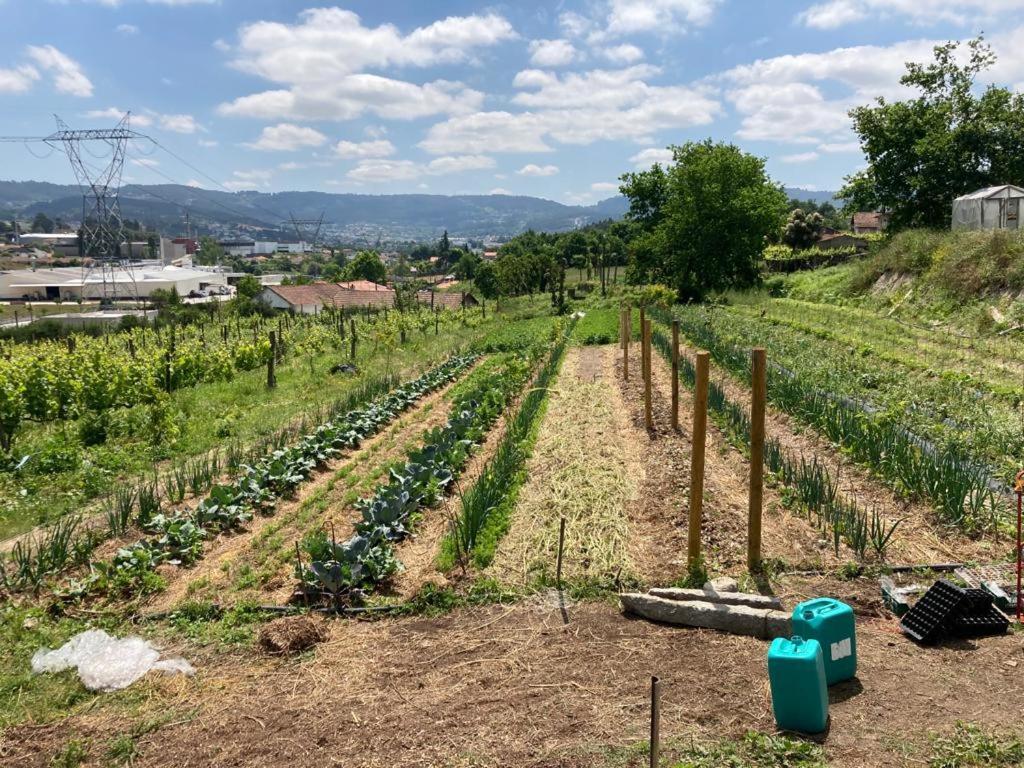 Farm stay Quinta Do Pinheiro *