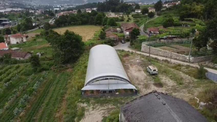 Quinta Do Pinheiro *