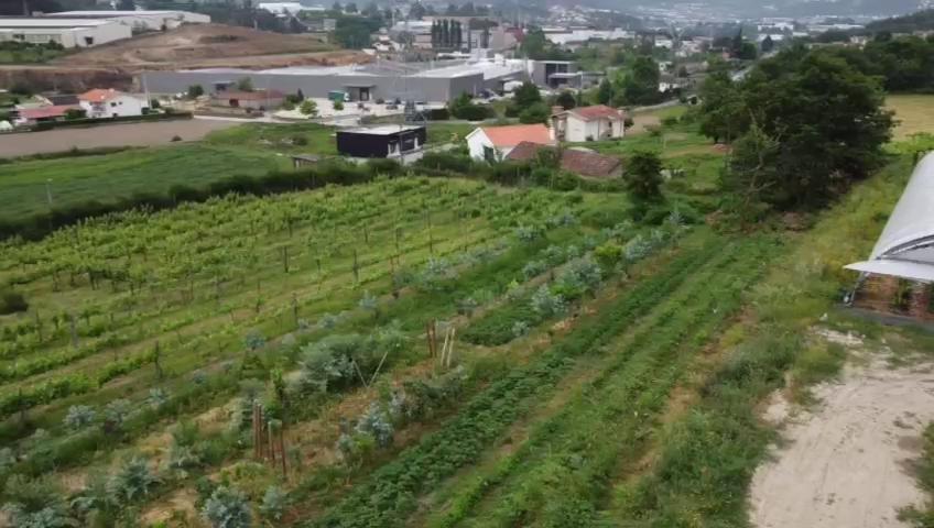 Quinta Do Pinheiro Farm stay