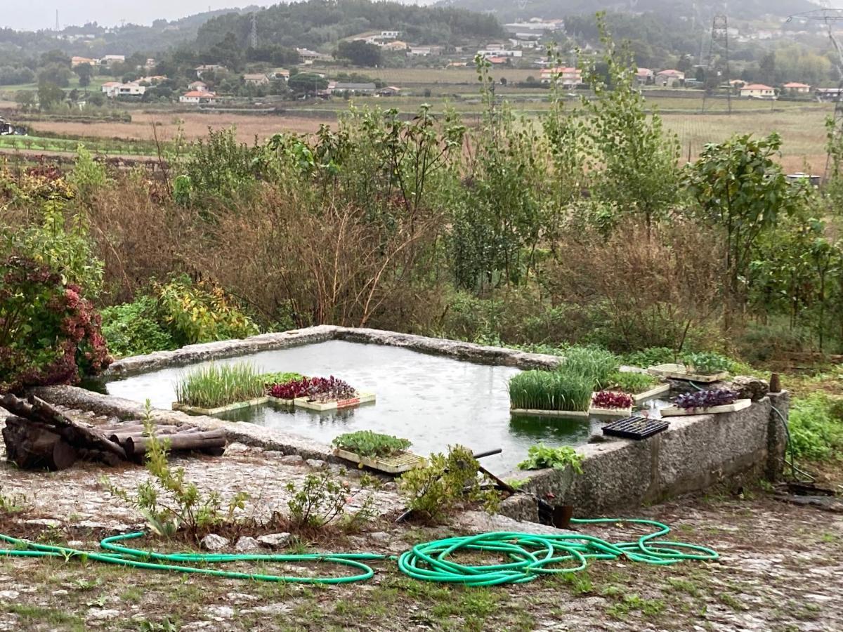 Quinta Do Pinheiro Guimaraes